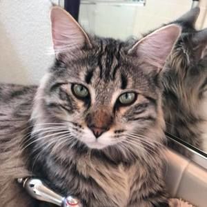 Meet your Posher, Karen